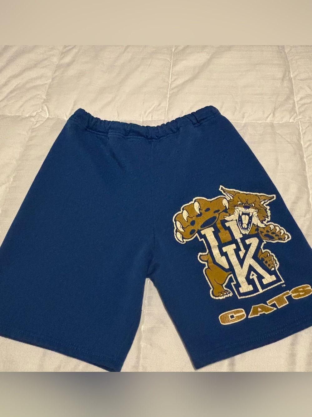 Vintage Dodger Tag University of Kentucky Wildcats Logo Shorts Size Medium